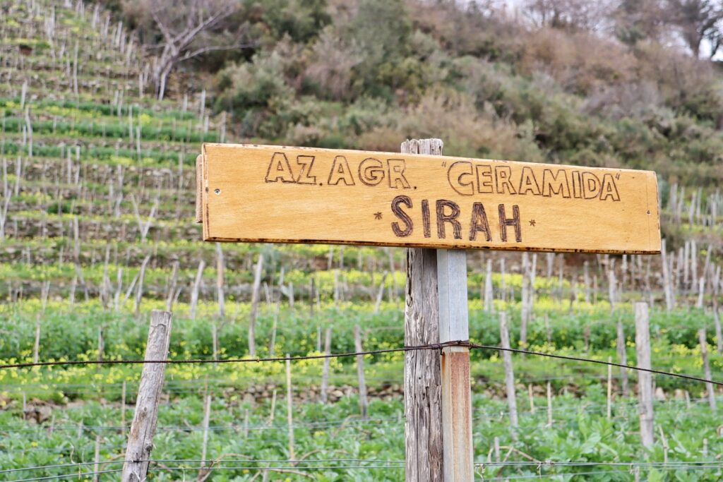 Azienda Agricola Ceramida Bagnara