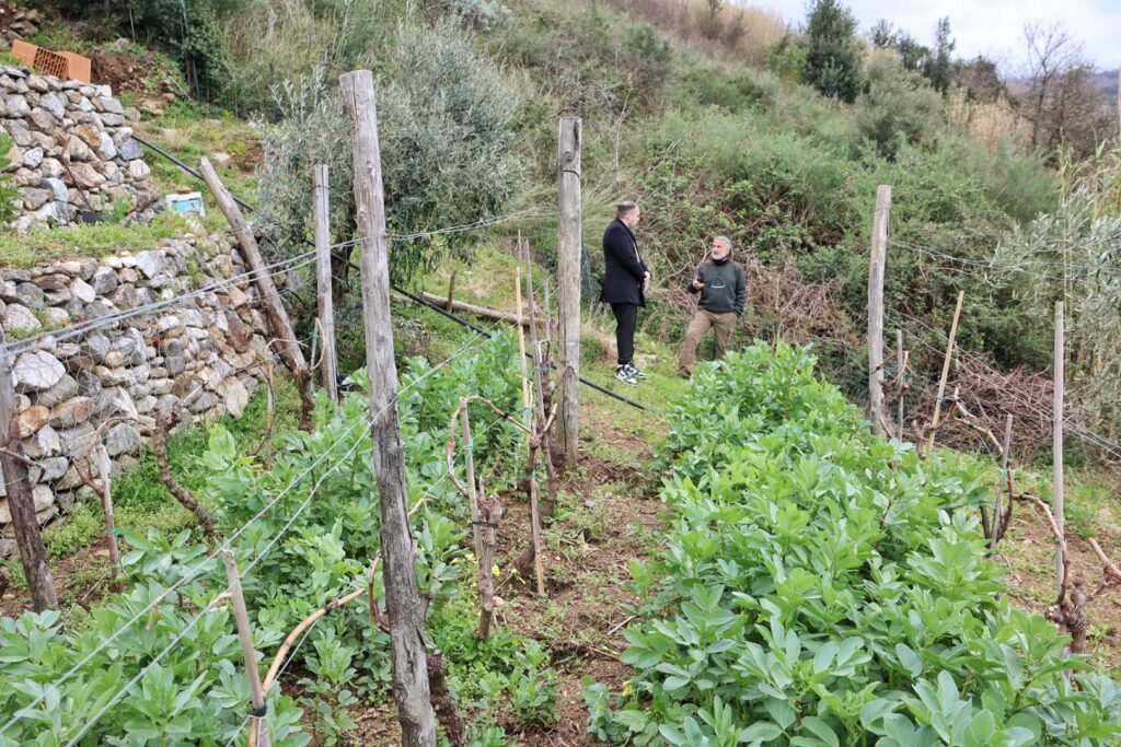 Azienda Agricola Ceramida Bagnara
