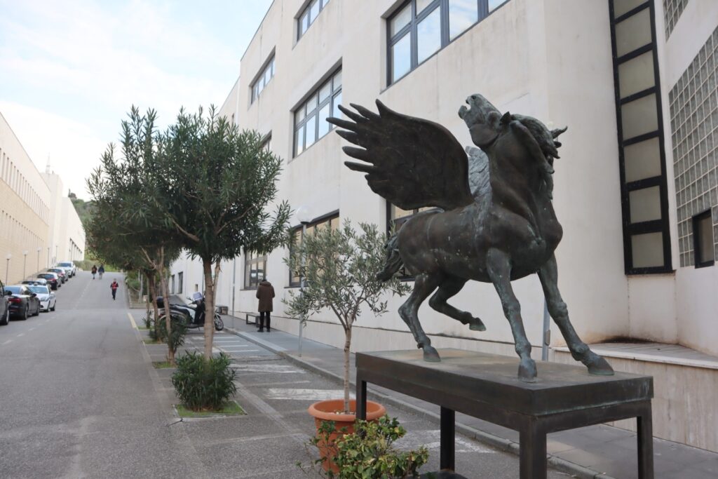 Cerimonia consegna benemerenze sportive Coni Università Mediterranea