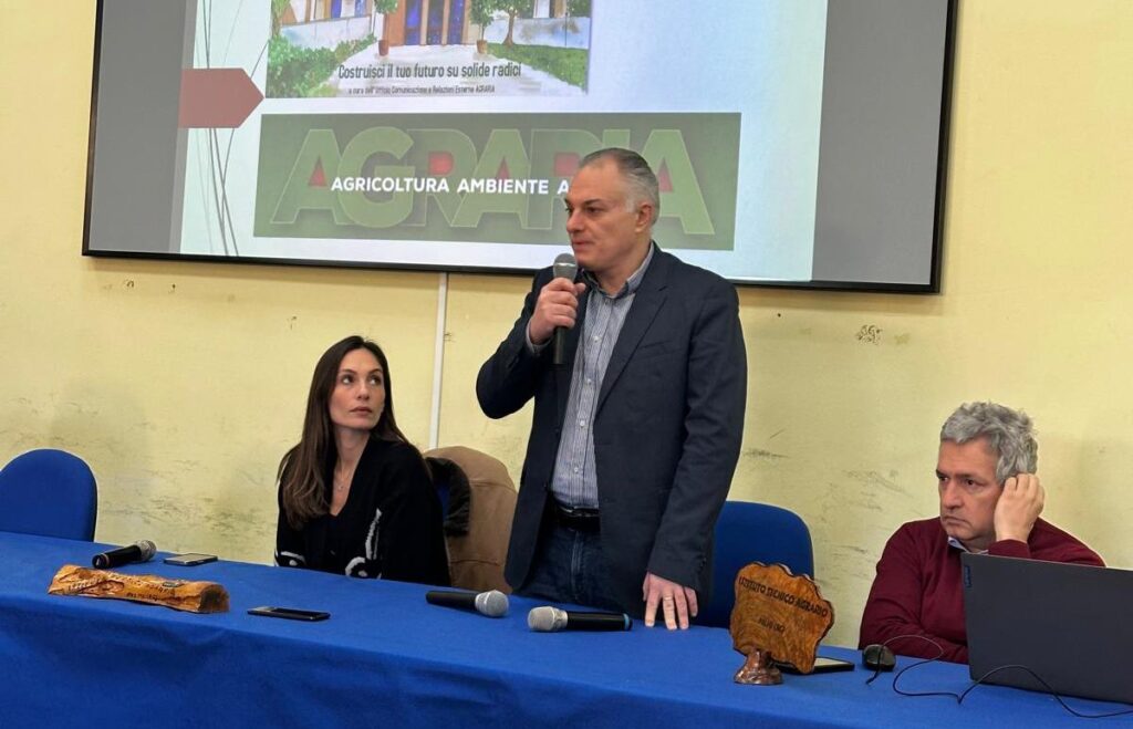 Collaborazione Università Mediterranea Einaudi Alvaro Palmi