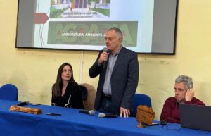 Collaborazione Università Mediterranea Einaudi Alvaro Palmi