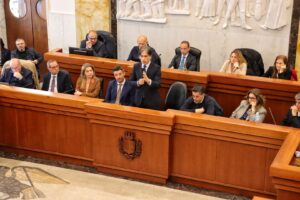 Consiglio Comunale Palazzo Alvaro