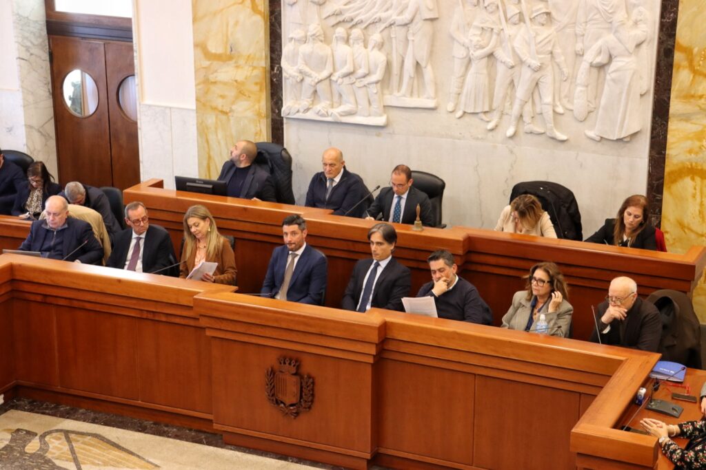 Consiglio Comunale Palazzo Alvaro