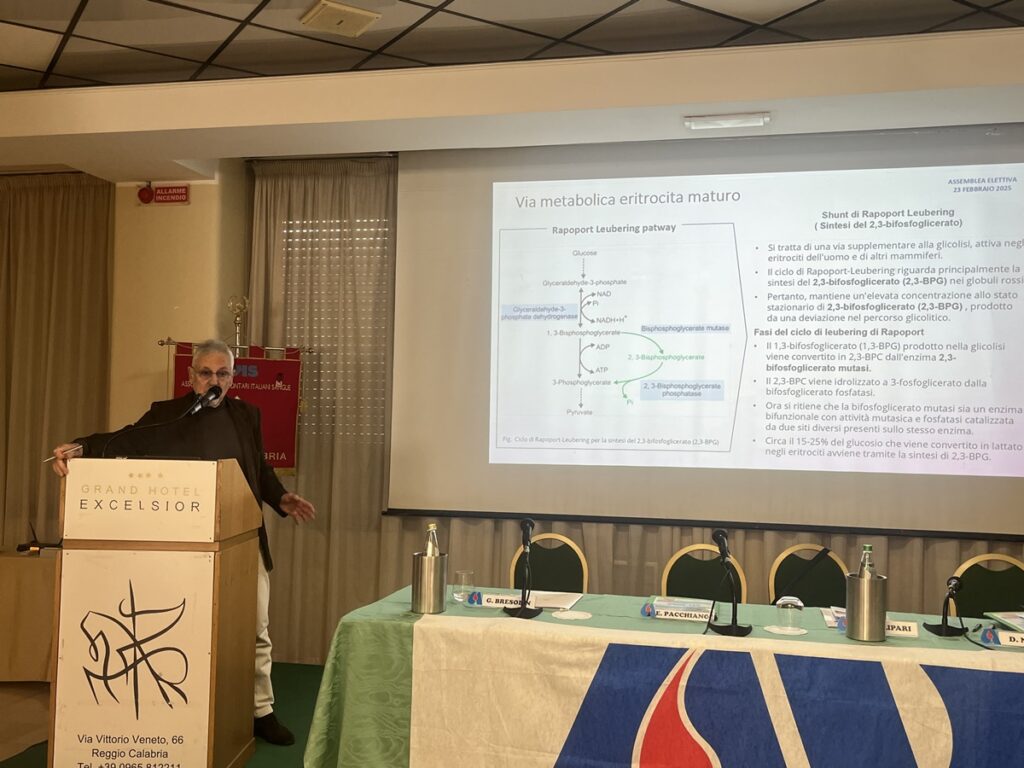 Assemblea Annuale Avis OdV Reggio Calabria 2025