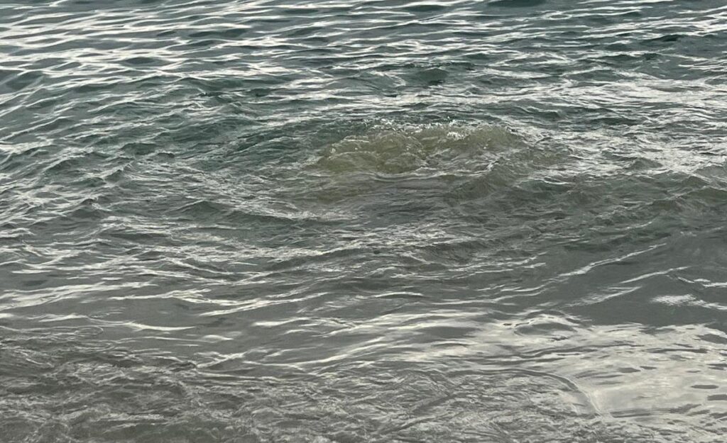 Fogna in mare parco lineare sud