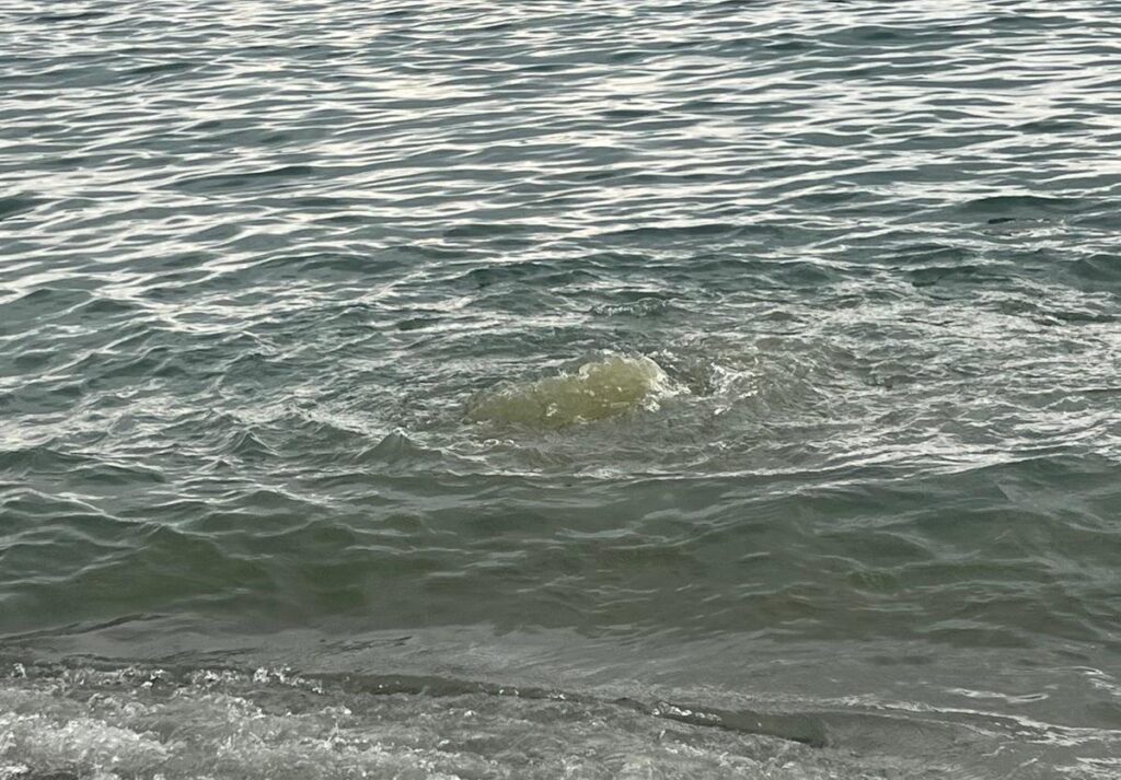 Fogna in mare parco lineare sud