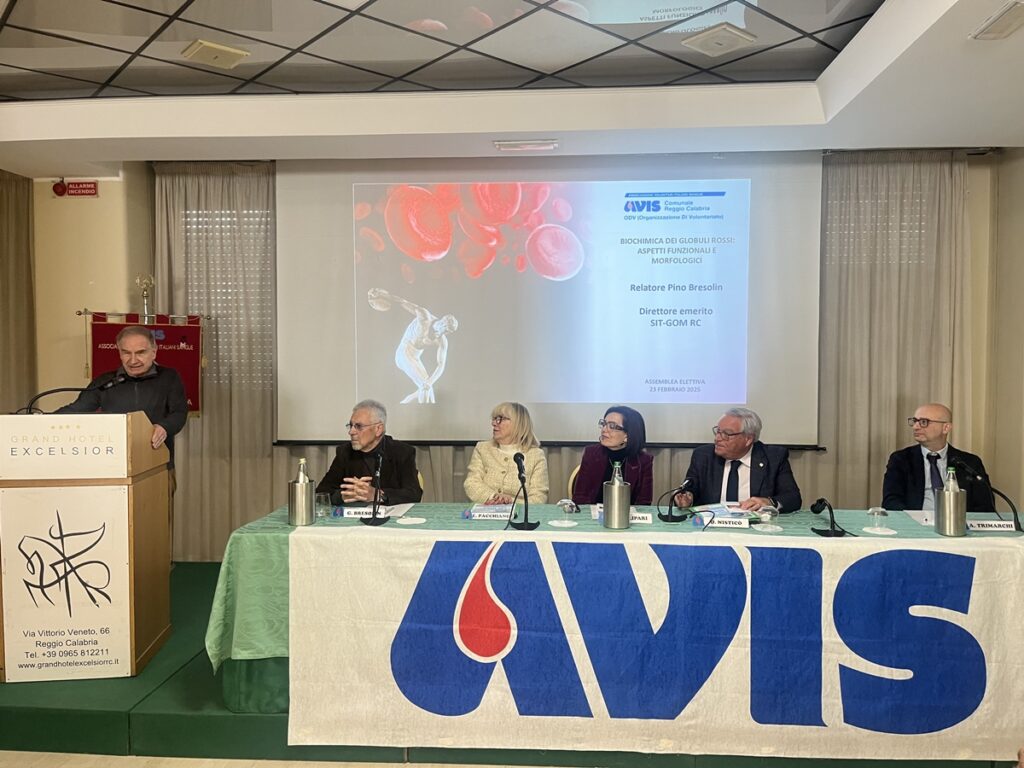 Assemblea Annuale Avis OdV Reggio Calabria 2025