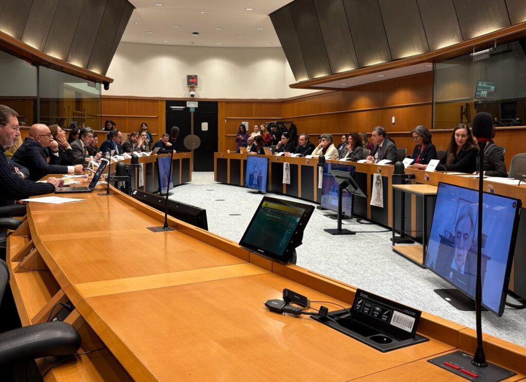 Incontro a Bruxelles dei no Ponte