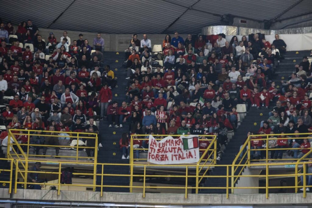 Tifosi Lumaka