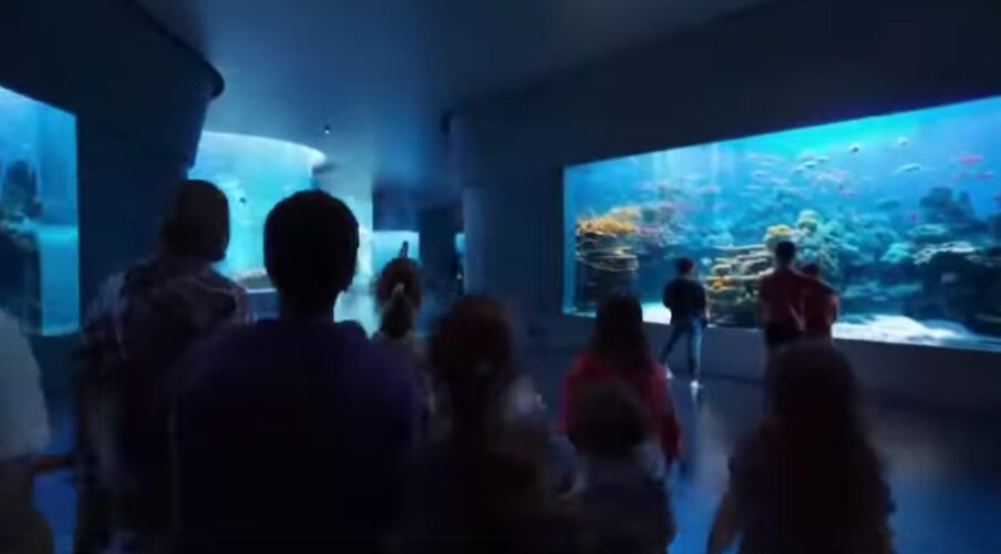 Museo del Mare