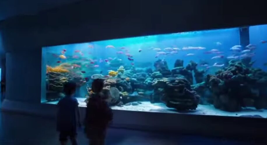 Museo del Mare