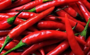 Peperoncino
