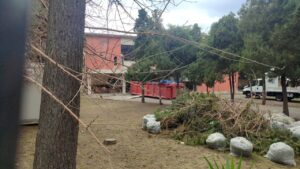 Condera scuola primaria