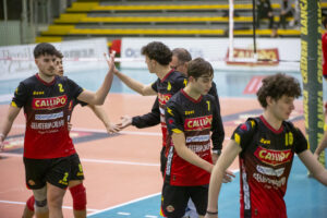 Tonno Callipo Volley