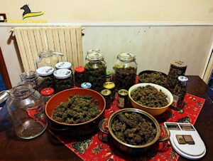 droga e prodotti esplosivi gdf