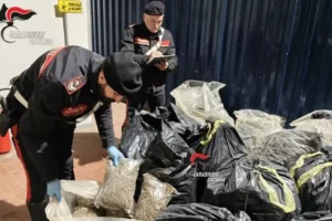 droga nei sacchi nera carabinieri catania