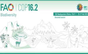 fa cop 16.2
