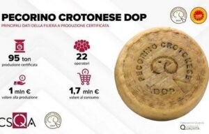 pecorino crotonese dop