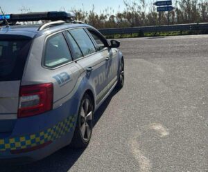 polizia stradale