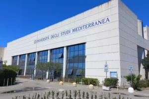 università mediterranea