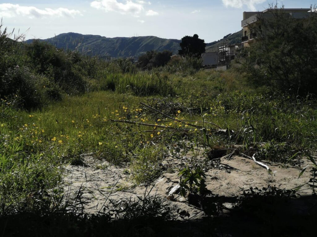 Degrado Torrente Fiumarella Pellaro