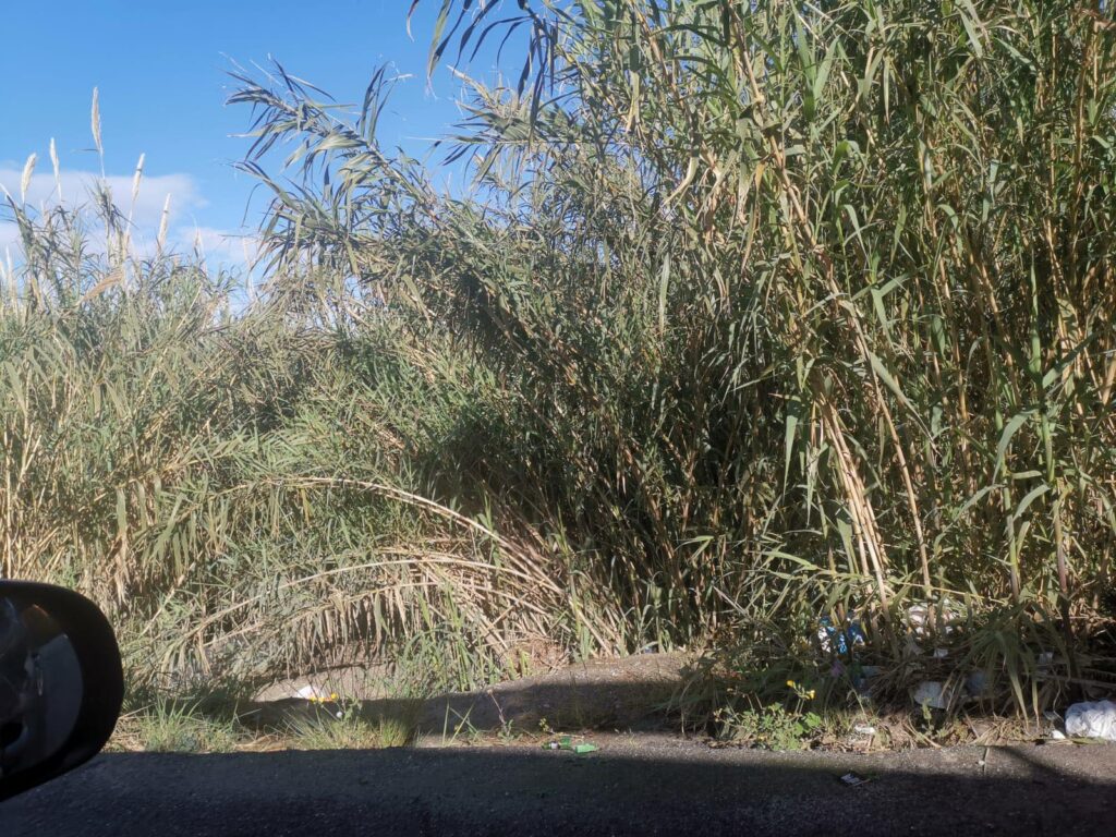 Degrado Torrente Fiumarella Pellaro