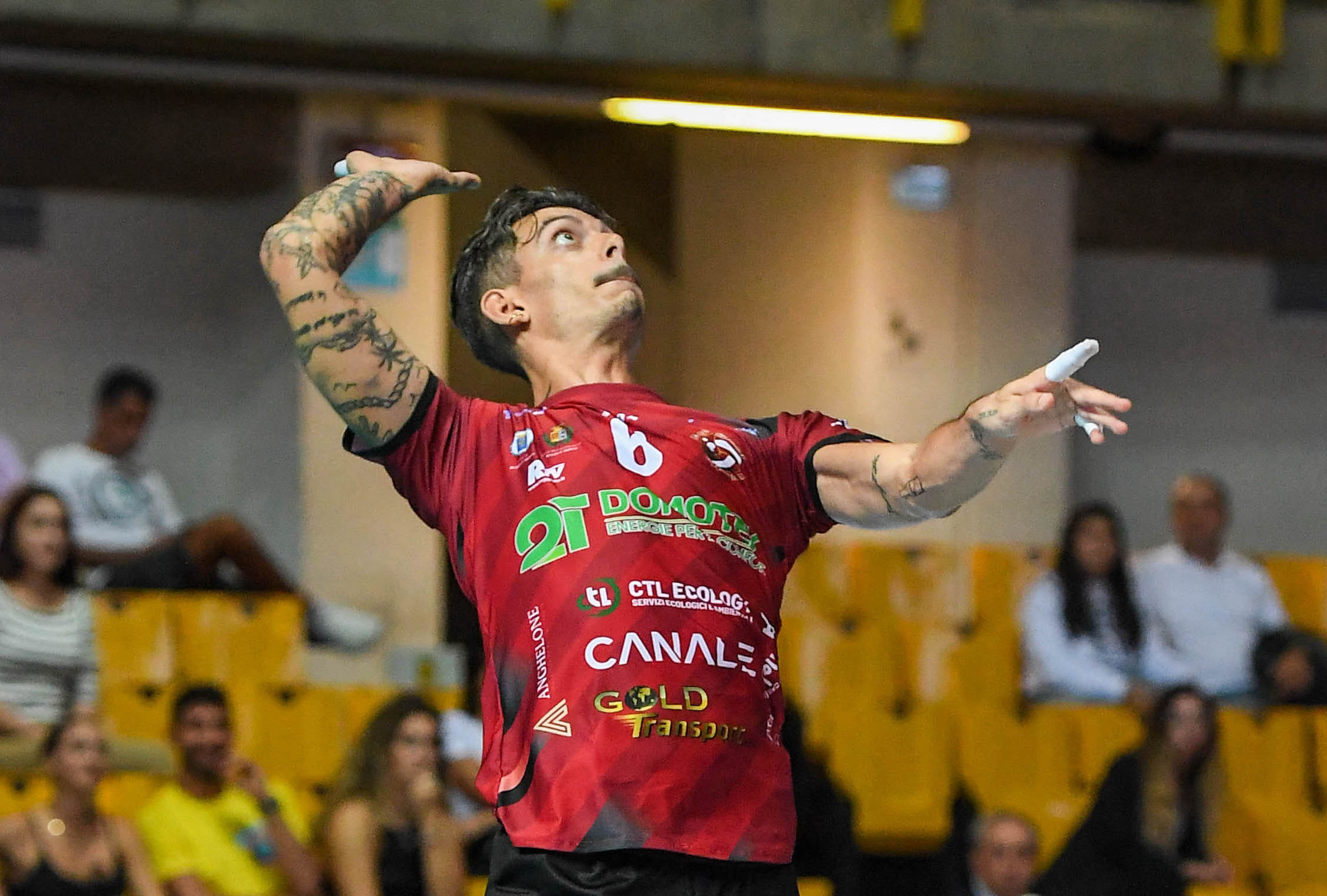 Domotek Volley