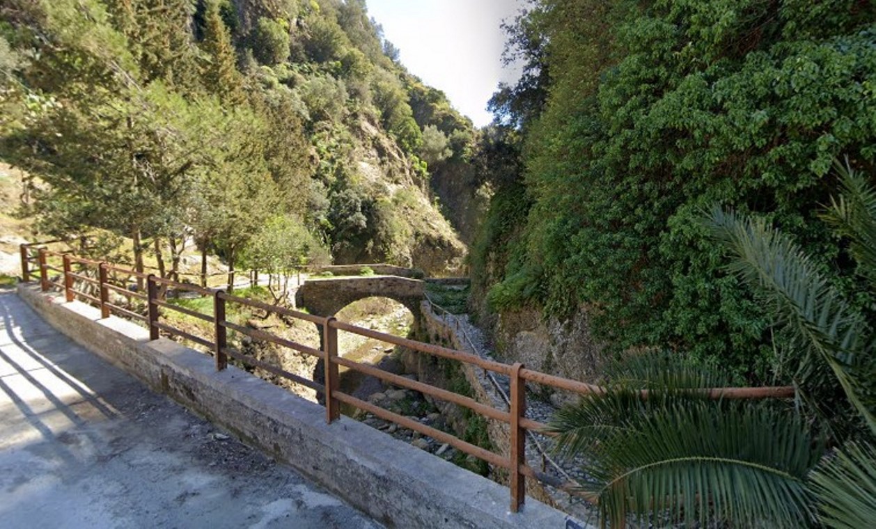 Precacore
