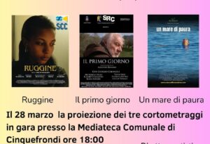 Premio cultura cinematografica