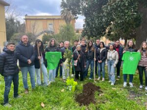 Scuole Palmi piantano mimosa
