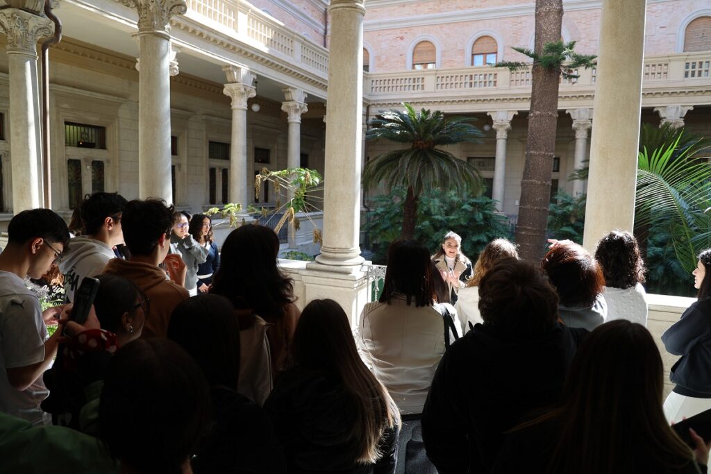 Università svelate messina