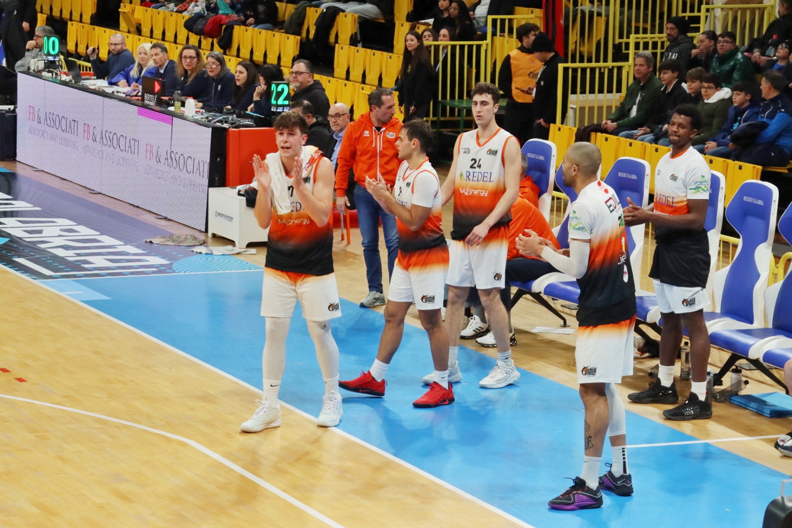 Viola-Bari (31)