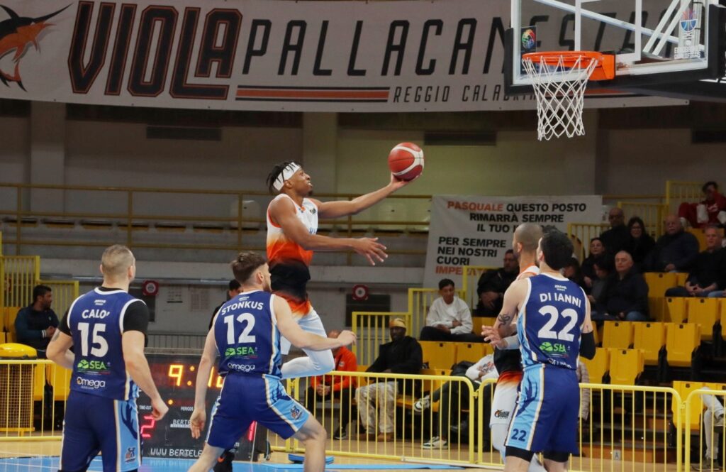 Viola-Brindisi