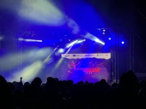 carnevale reggino 2025
