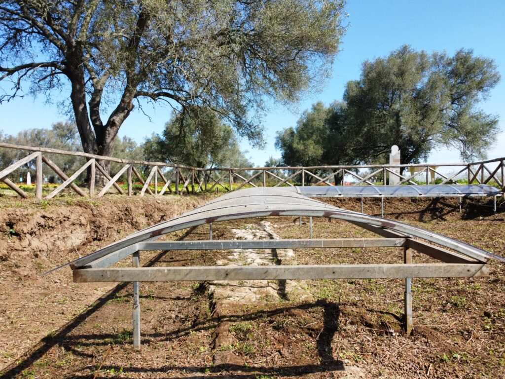 parco medma rosarno