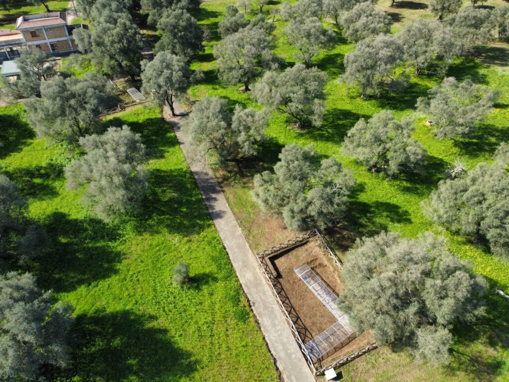 parco medma rosarno
