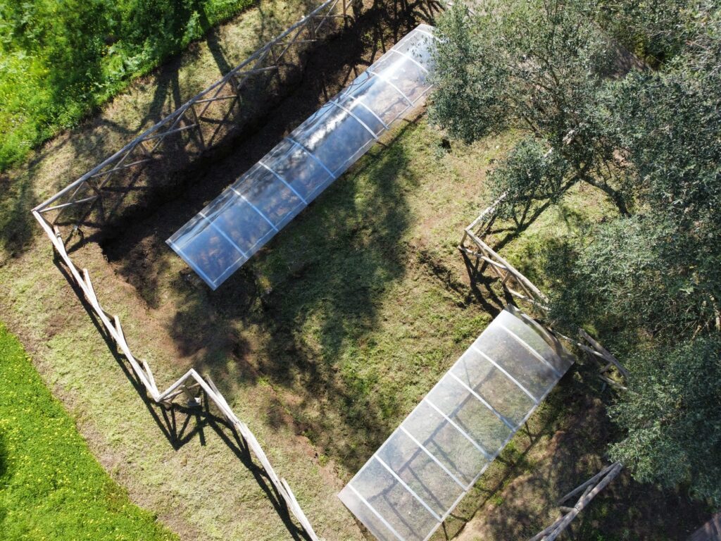 parco medma rosarno