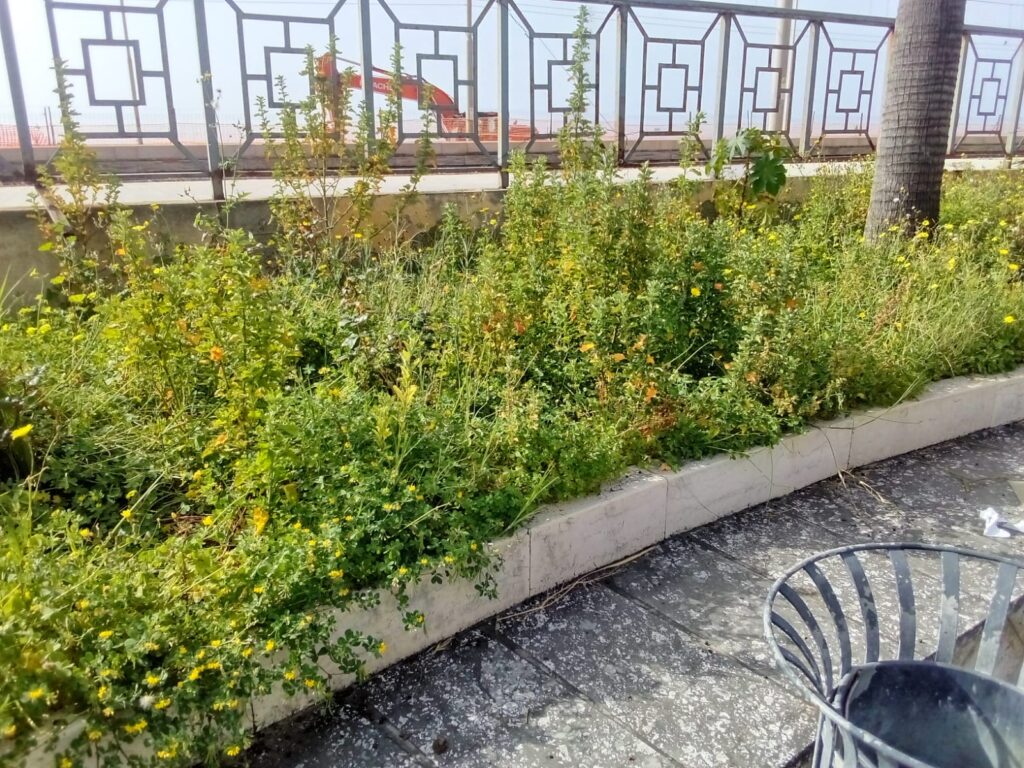 pulizia della Piazza della Stazione di Melito di Porto Salvo