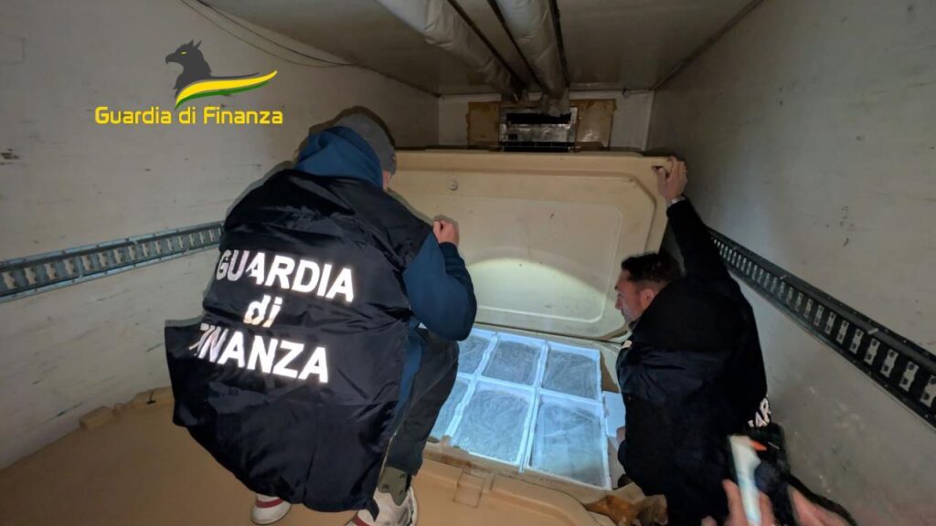 sequestro novellame di sarda