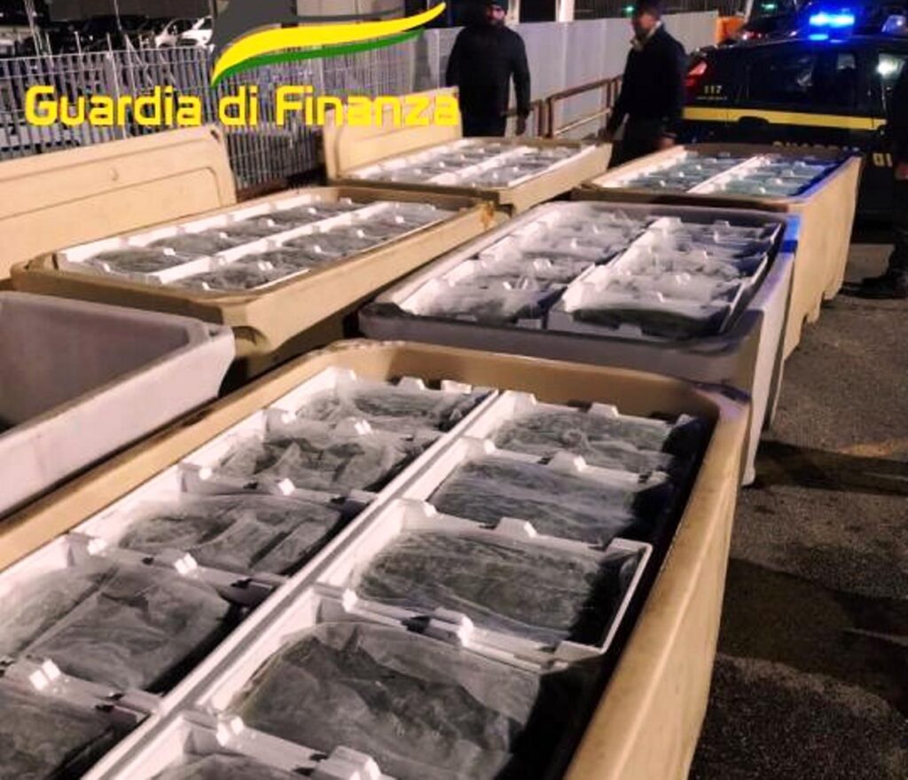 sequestro novellame di sarda