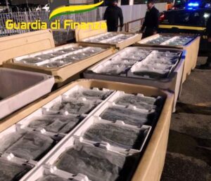 sequestro novellame di sarda