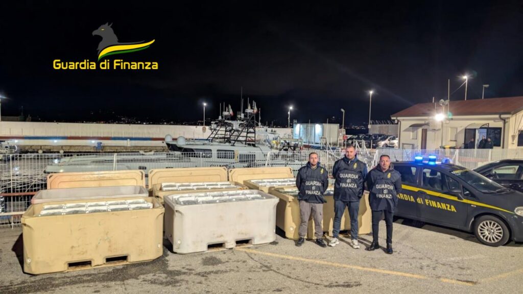 sequestro novellame di sarda