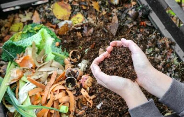 Compostaggio