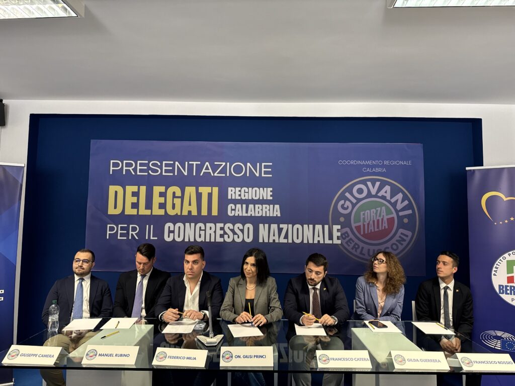 Conferenza Forza Italia Reggio Calabria