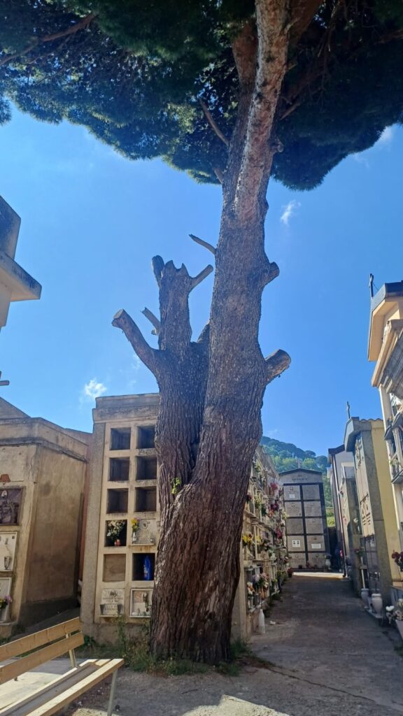 Degrado al Cimitero sambatello