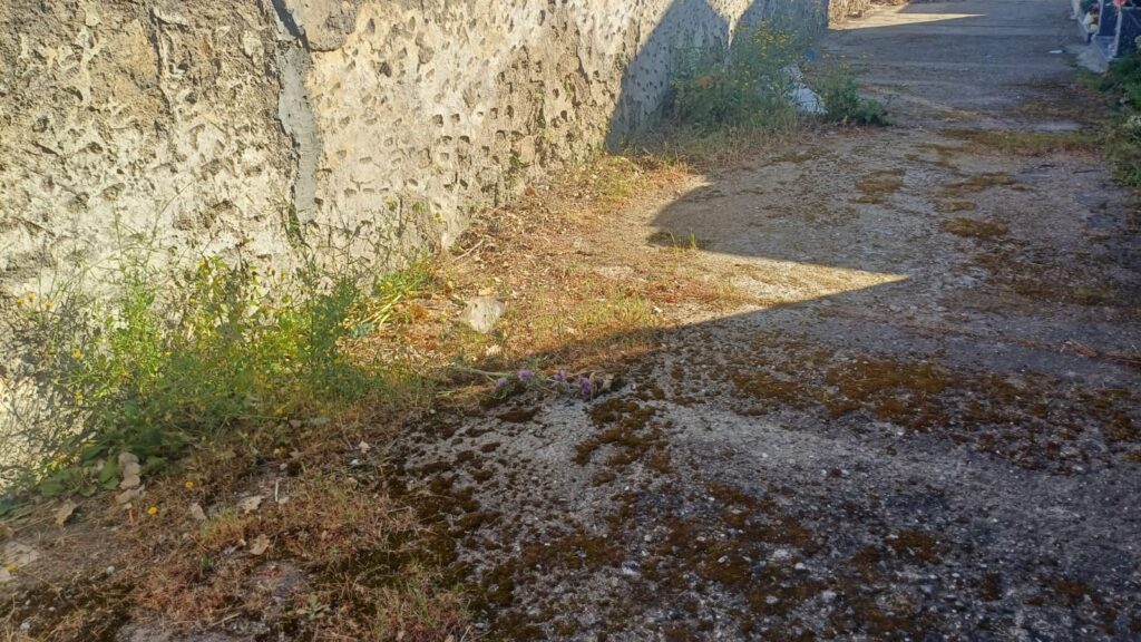 Degrado al Cimitero sambatello