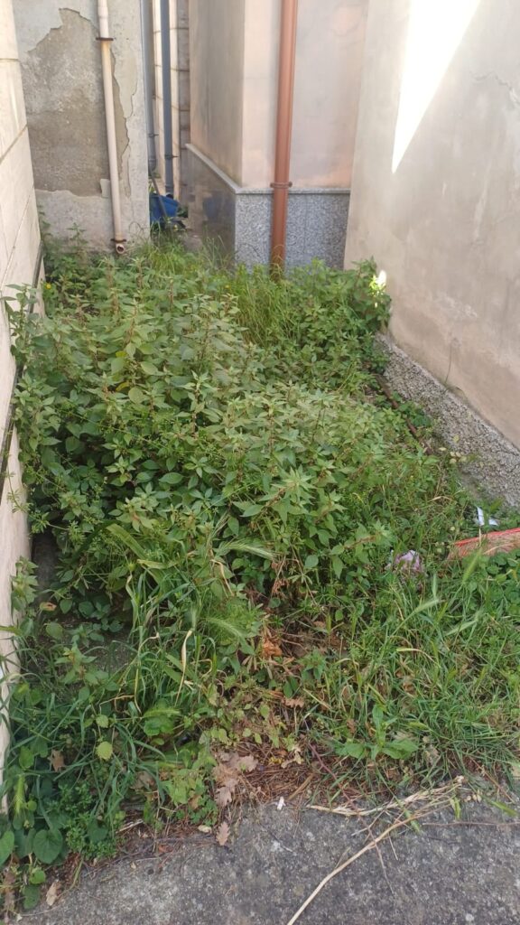 Degrado al Cimitero sambatello
