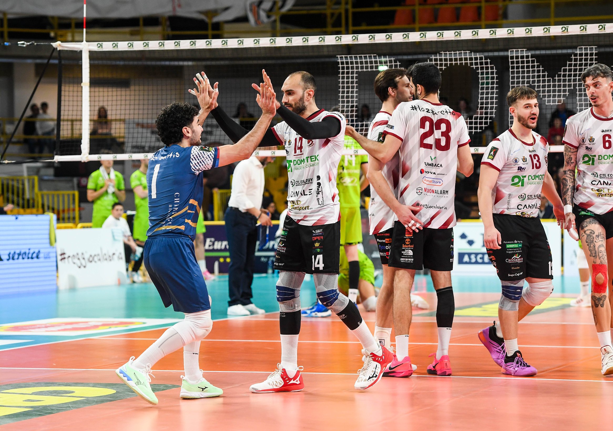 Domotek Volley