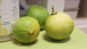 Evento di attesa del Bergafest al Museo del Bergamotto