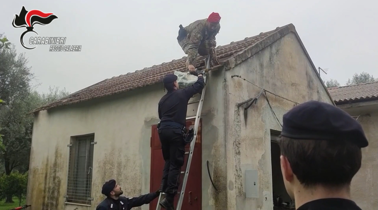 Droga casolare